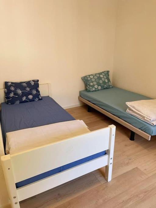 Perfect Lake View New Apartment Veytaux 외부 사진